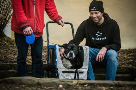 Image about-cornish-gems-1762868399 for 