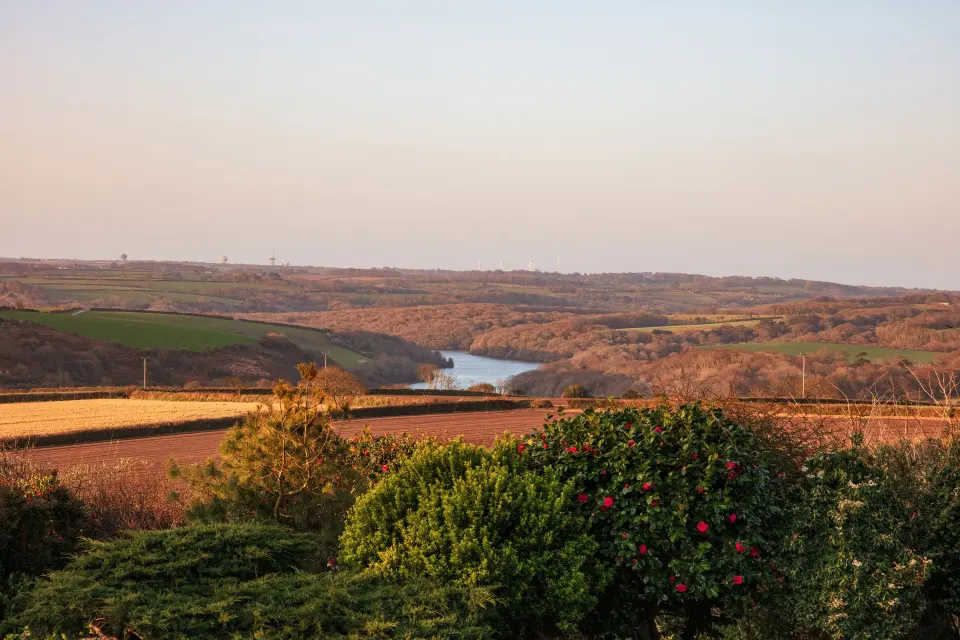 Image autumn-1763127724 for 