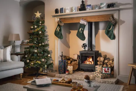 Image christmas-1788792496 for Dog-friendly Christmas breaks in Cornwall