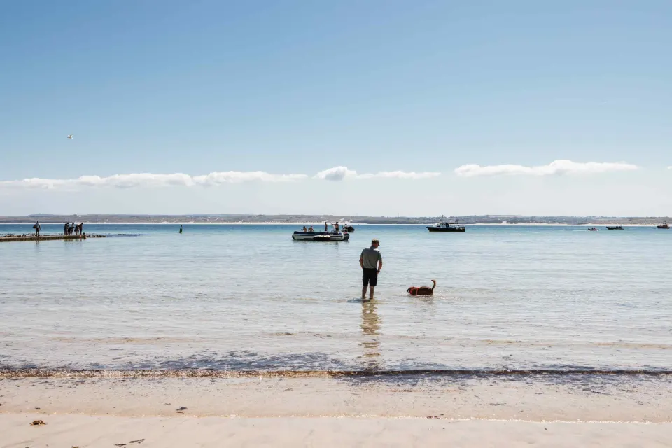 Image collections-dog-friendly-stays-1779981686 for Man paddling with his dog in the sea