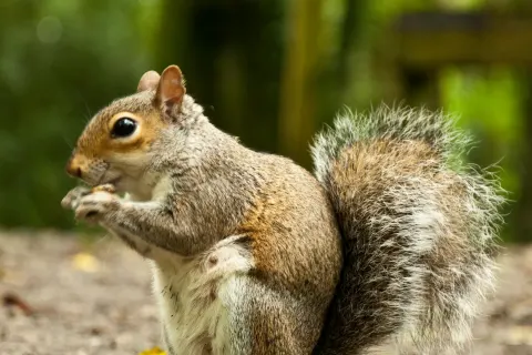 Image destinations-north-cornwall-porthtowan-portreath-1762789849 for Tehidy Woods