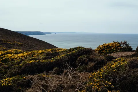 Image destinations-north-cornwall-porthtowan-portreath-1762789948 for Trails above Porthtowan
