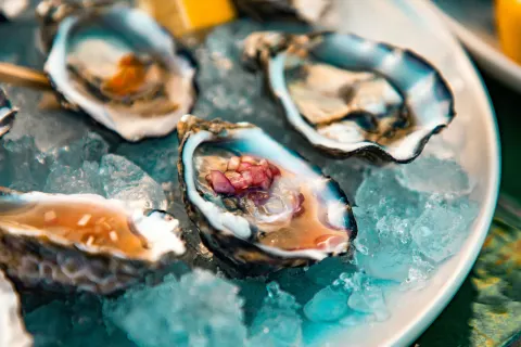 Image destinations-south-cornwall-roseland-peninsula-1762794069 for Oysters