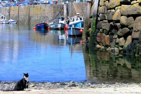 Image destinations-west-cornwall-mousehole-newlyn-1762774247 for Mousehole cat