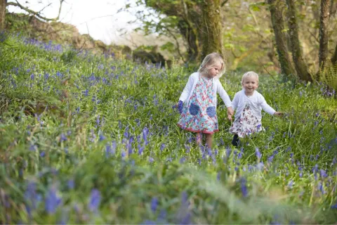 Image family-homes-1776261478 for Children together in Cornwall