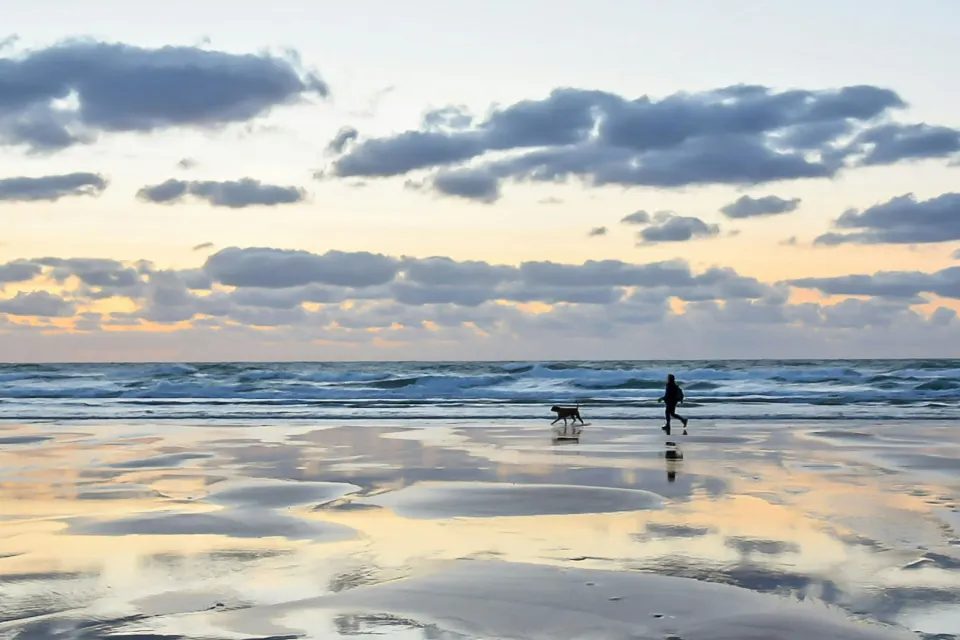 Image february-half-term-1763123976 for 