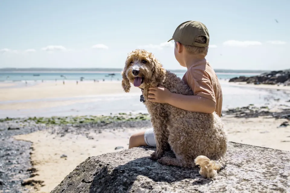Image homepage-1781271623 for Dog friendly holidays in Cornwall
