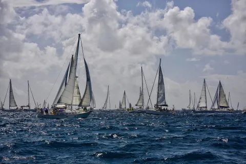 Image june-holidays-cornwall-1788519126 for Boat race in Falmouth