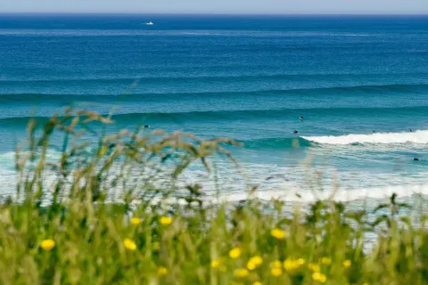 Image locations-north-cornwall-newquay-fistral-1777561320 for View to sea from Fistral Beach