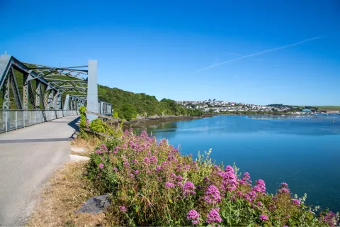 Image locations-north-cornwall-padstow-port-isaac-1778080591 for The Camel Trail from Padstow to Wadebridge