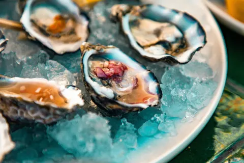Image locations-south-cornwall-roseland-peninsula-1778758319 for Oysters in St Mawes