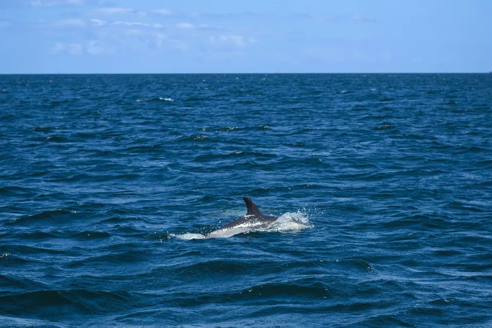 Image may-half-term-1763126575 for 