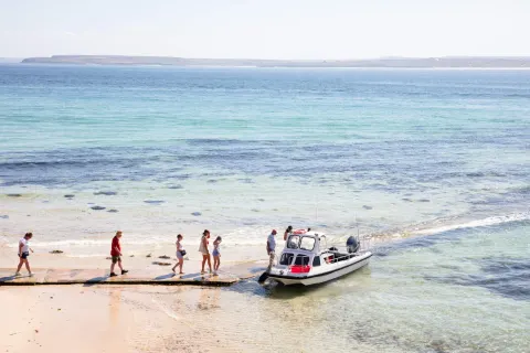 Image may-holidays-cornwall-1788513285 for Boat trip from Sy Ives