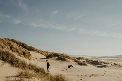 Image november-holidays-cornwall-1788269471 for Dog on the beach in Cornwall