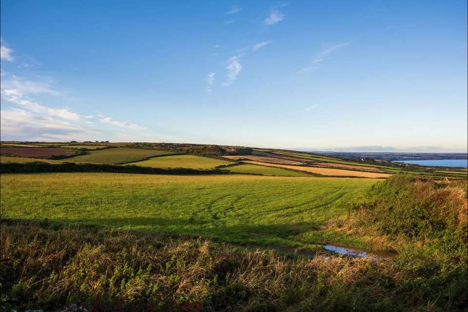 Image october-half-term-1763129389 for 