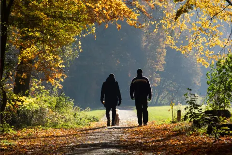 Image october-half-term-1763129566 for 