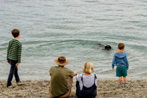 Image october-holidays-in-cornwall-1787843067 for Family at the beach in October half term