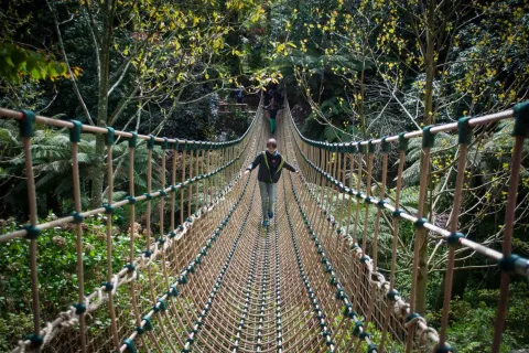 Image october-holidays-in-cornwall-1787843246 for Teenager exploring the Lost Gardens of Heligan