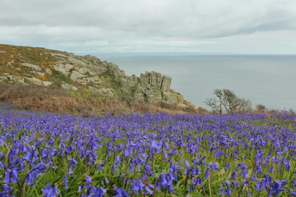 Image offers-seasonal-breaks-1763120641 for 