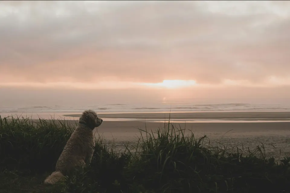 Image offers-short-breaks-1763117000 for 