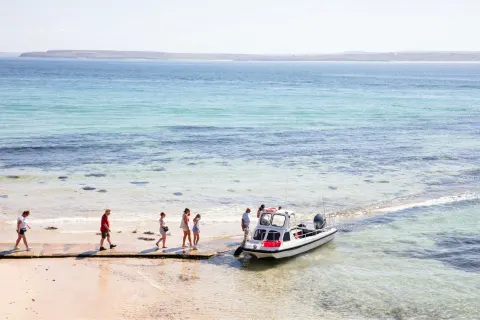 Image september-holidays-cornwall-1783512272 for Boat trip from St Ives in September