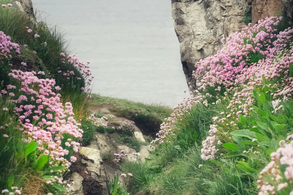 Image spring-breaks-1763124325 for 