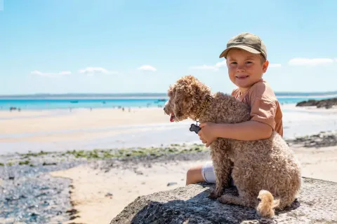 Image spring-breaks-1789045276 for Dog-friendly spring breaks in Cornwall