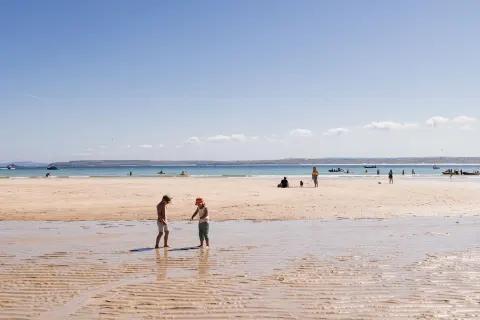 Image summer-1763127519 for 