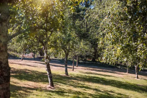 Image sustainability-statement-1767711933 for 