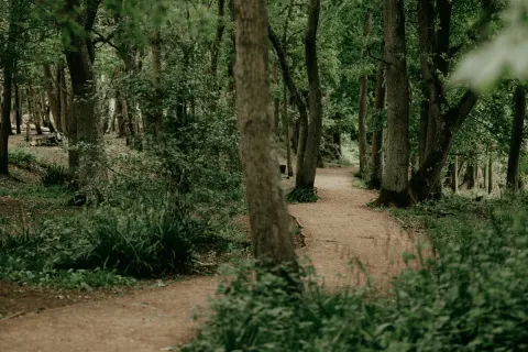 Image 13-underrated-activities-for-christmas-in-cornwall-1762940069 for