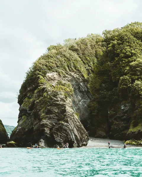 Image 5-reasons-why-march-and-april-might-be-cornwalls-best-kept-secret-1771862648 for 