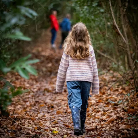 Image autumn-in-cornwall-walks-food-things-to-do-1789735140 for 