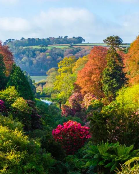 Image autumn-in-cornwall-1789732579 for Autumn colour in a Cornish garden