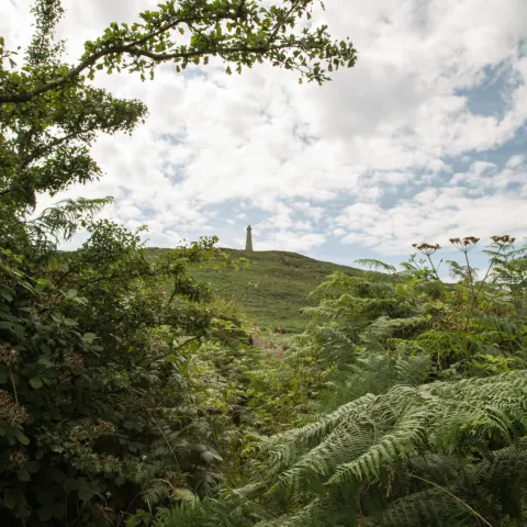 Image celebrate-new-year-in-cornwall-handpicked-plans-for-every-mood-and-moment-1762941454 for