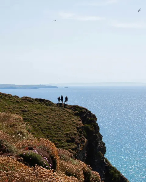 Image celebrating-10-years-of-b-corp-1767617680 for 