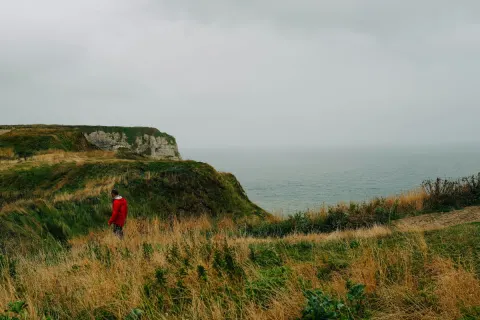 Image christmas-on-the-cornish-coast-1763640906 for 