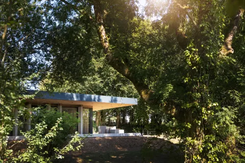 Image cornwall-for-every-celebration-1763563694 for 