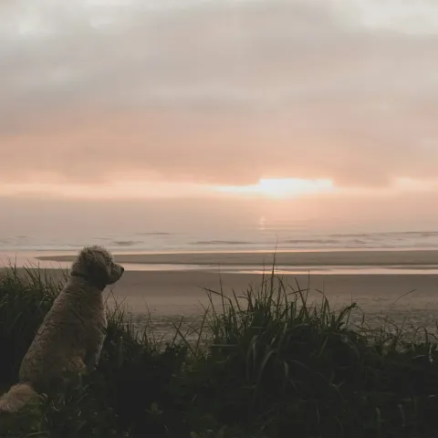 Image cornwall-in-winter-walks-food-things-to-do-1790756009 for