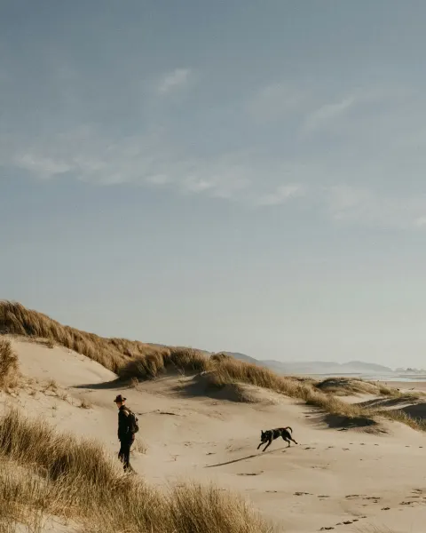 Image dog-friendly-cornwall-beaches-walks-and-things-to-do-with-your-dog-1789642527 for Rainy day with a dog in Cornwall