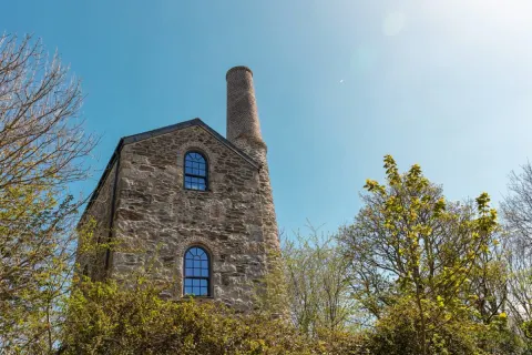 Image dog-friendly-cornwall-where-to-stay-walk-and-explore-with-your-four-legged-friend-1762939509 for