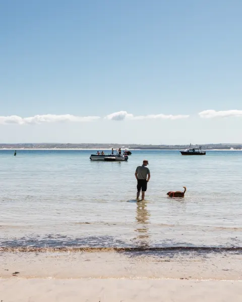 Image dog-friendly-cornwall-where-to-stay-walk-and-explore-with-your-four-legged-friend-1789641493 for Dog-friendly beach in Cornwall