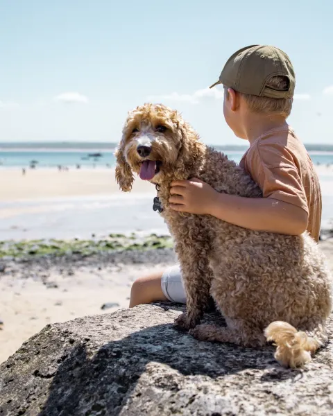 Image dog-friendly-cornwall-where-to-stay-walk-and-explore-with-your-four-legged-friend-1789641604 for Dog-friendly Cornwall holiday