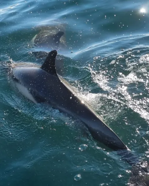 Image hidden-cornwall-helford-stays-and-experiences-1774523299 for