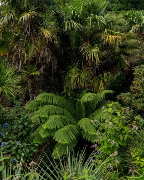 Image hidden-cornwall-helford-stays-and-experiences-1774523424 for