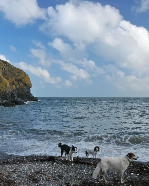 Image hidden-cornwall-itinerary-fishing-heritage-and-wild-coastlines-in-cadgwith-1775134083 for 