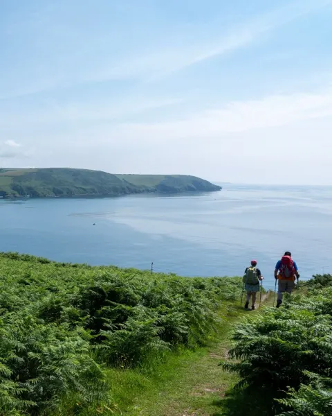 Image hidden-cornwall-itinerary-harbour-life-in-fowey-1777388564 for 