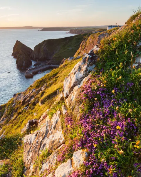 Image hidden-cornwall-itinerary-open-landscapes-in-mullion-1776158345 for 