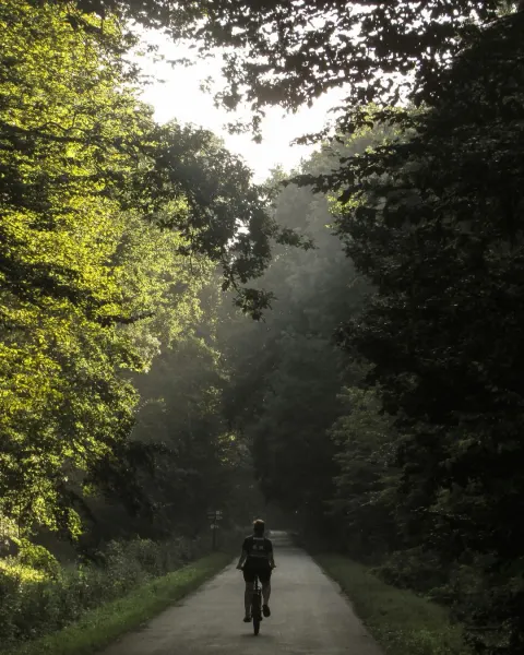 Image hidden-cornwall-itinerary-slow-countryside-escapes-at-lanhydrock-1779098459 for 