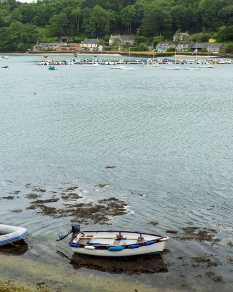Image hidden-cornwall-itinerary-swimming-walking-and-exploring-the-helford-1774266489 for 