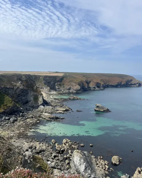 Image hidden-cornwall-itinerary-woodland-and-coastal-paths-with-tehidy-north-cliffs-1777976344 for 